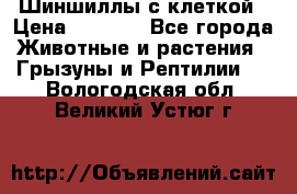 Шиншиллы с клеткой › Цена ­ 8 000 - Все города Животные и растения » Грызуны и Рептилии   . Вологодская обл.,Великий Устюг г.